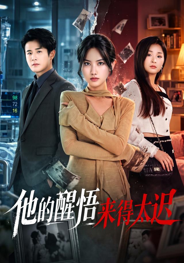 他的醒悟来得太迟(全集)