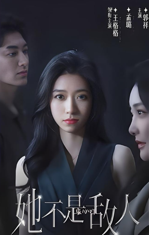 她不是敌人(全集)