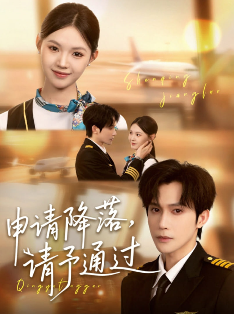 申请降落请予通过(全集)