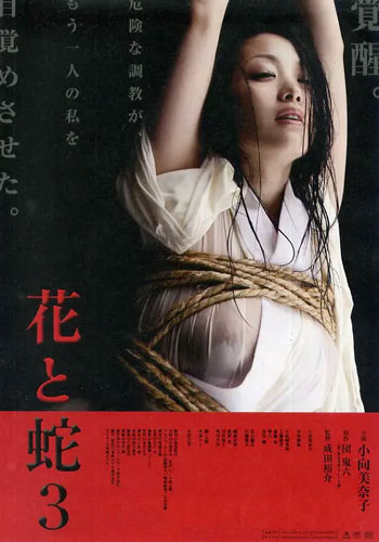 花与蛇3(全集)